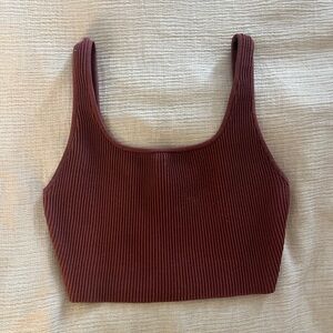 Aritzia/Babaton Ribbed Burgundy Crop Top